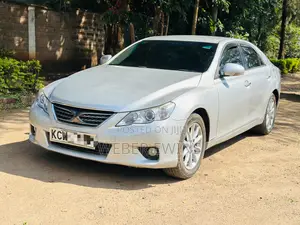 Toyota Mark X 2.5 AWD 2012 Gray