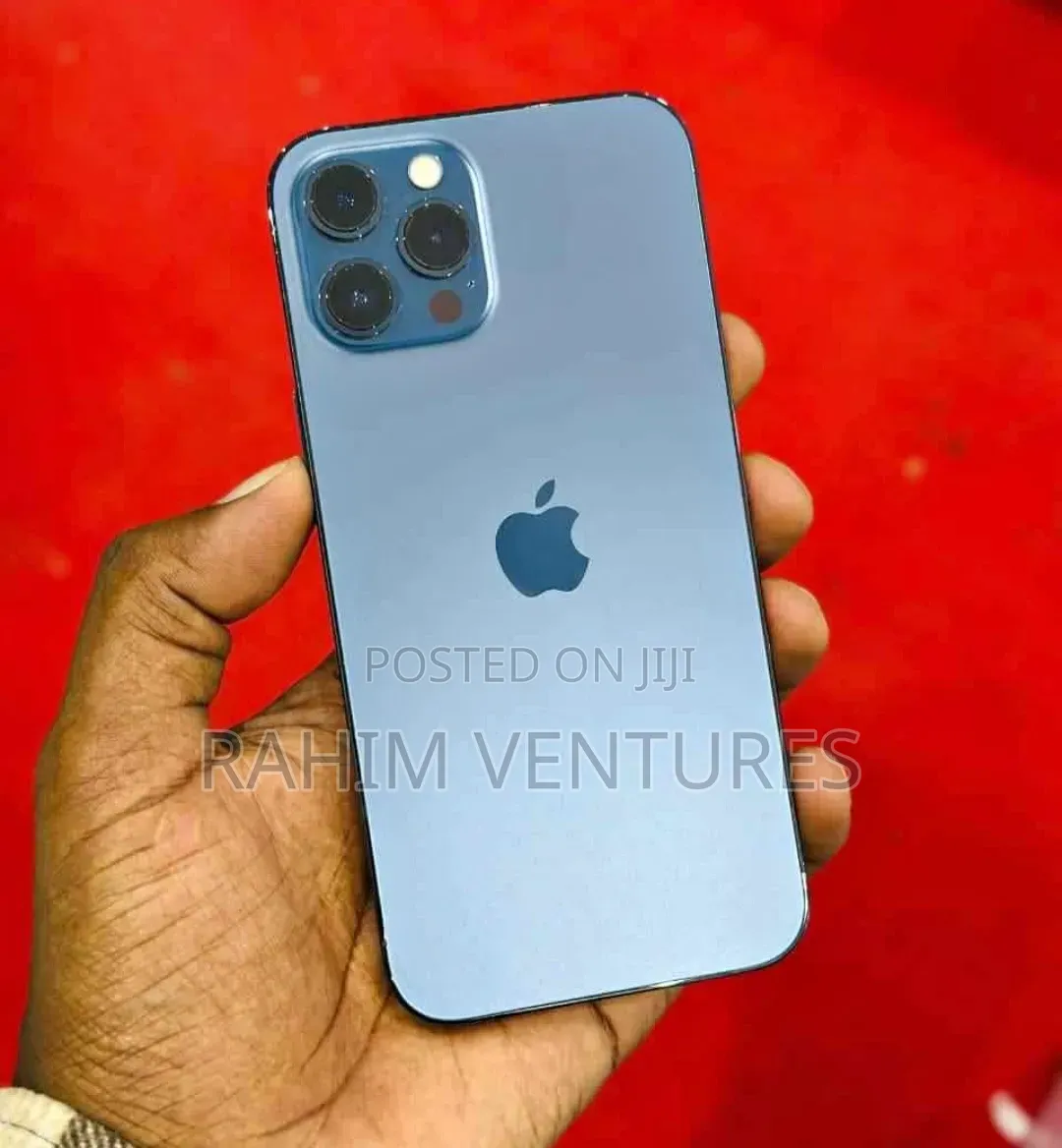 Apple iPhone 12 Pro Max 512 GB Gray