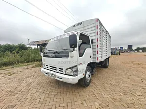 Isuzu ELF Truck 2017 White