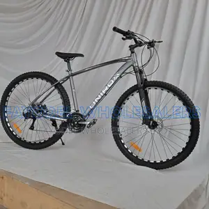 Unirox 29 Inch Mountain Bike – Grey