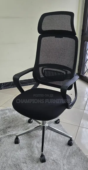 Ergonomic Office Chair