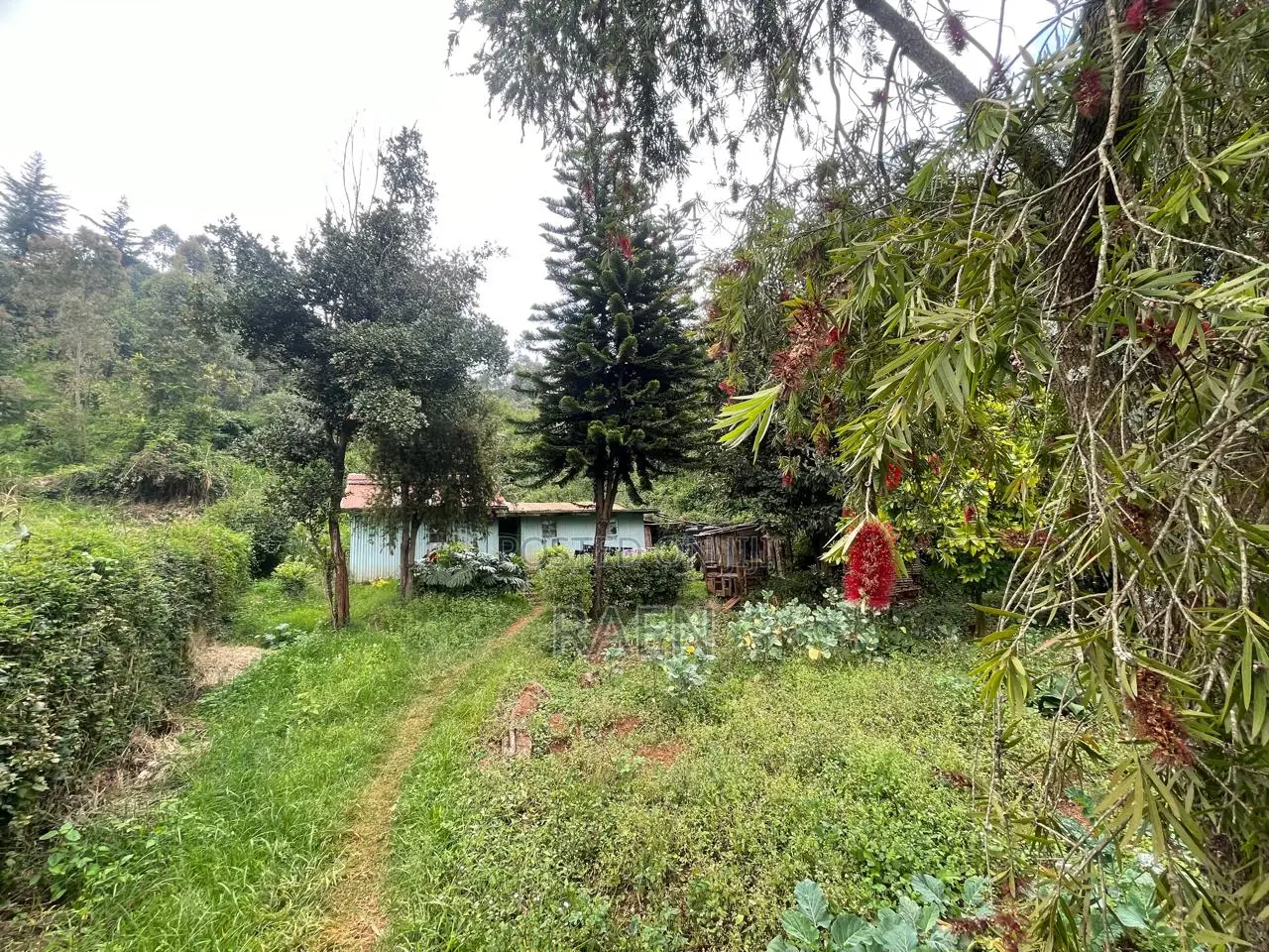 Land On Sale