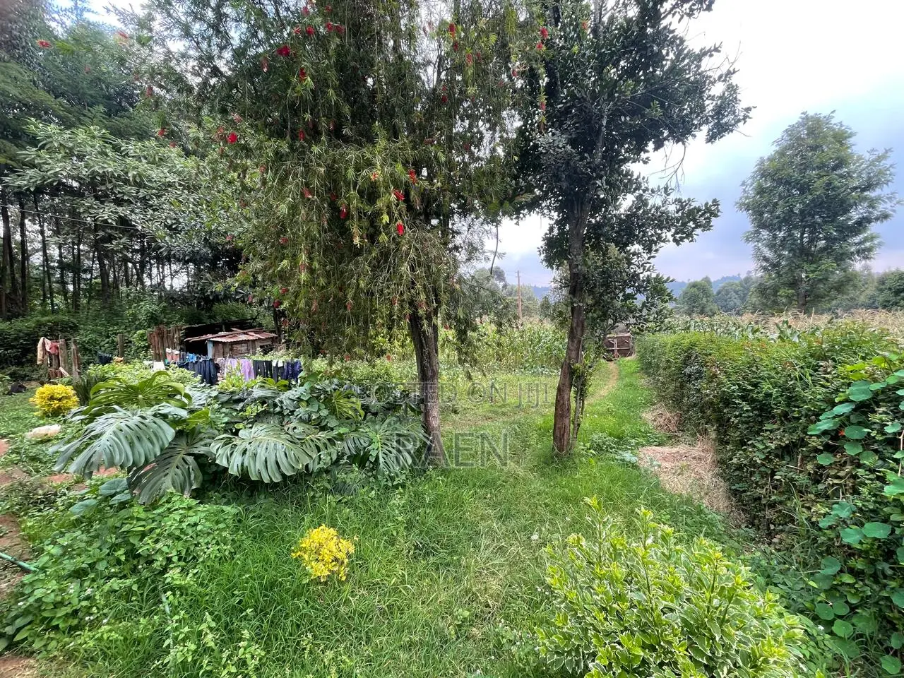 Land On Sale