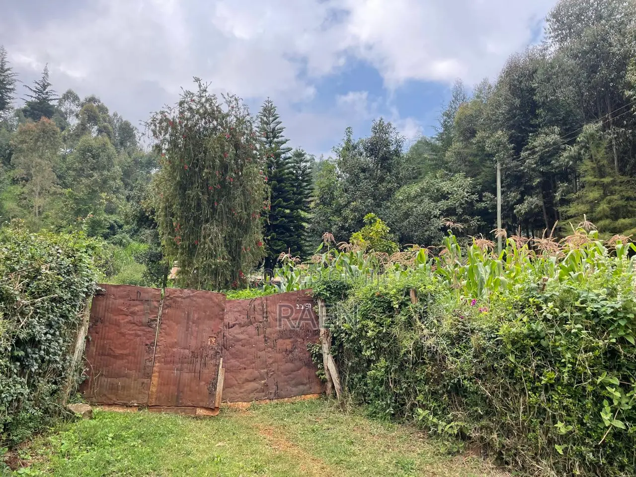Land On Sale