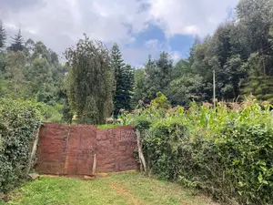 Land On Sale