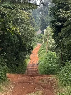 Land On Sale