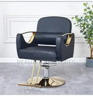 Salon Styling Chair