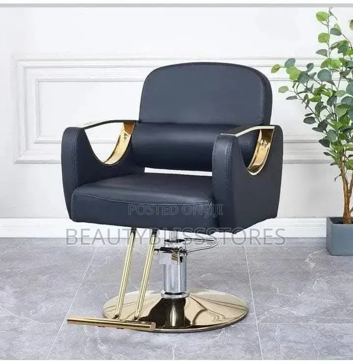 Salon Styling Chair