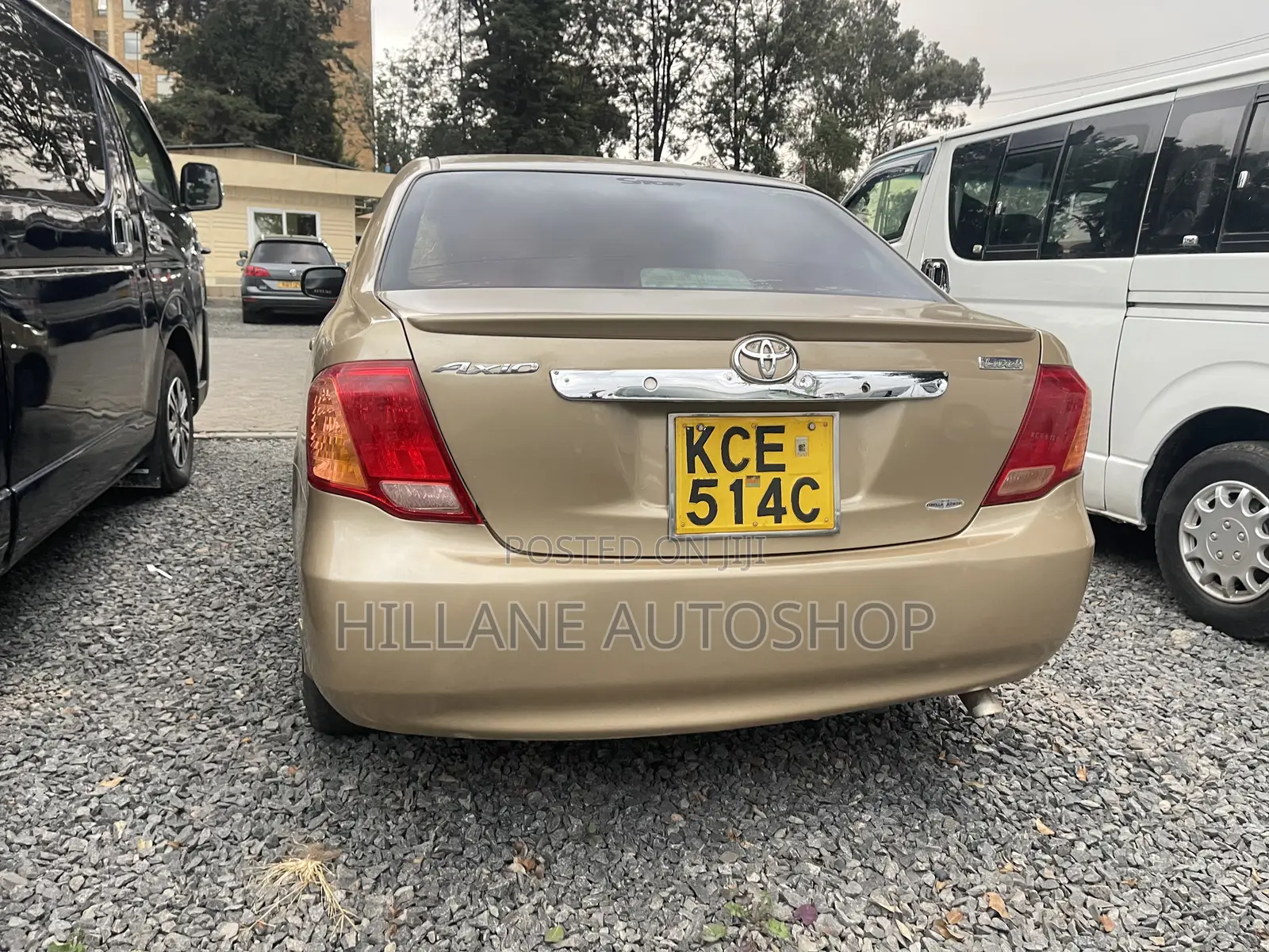 Toyota Axio 2009 Beige