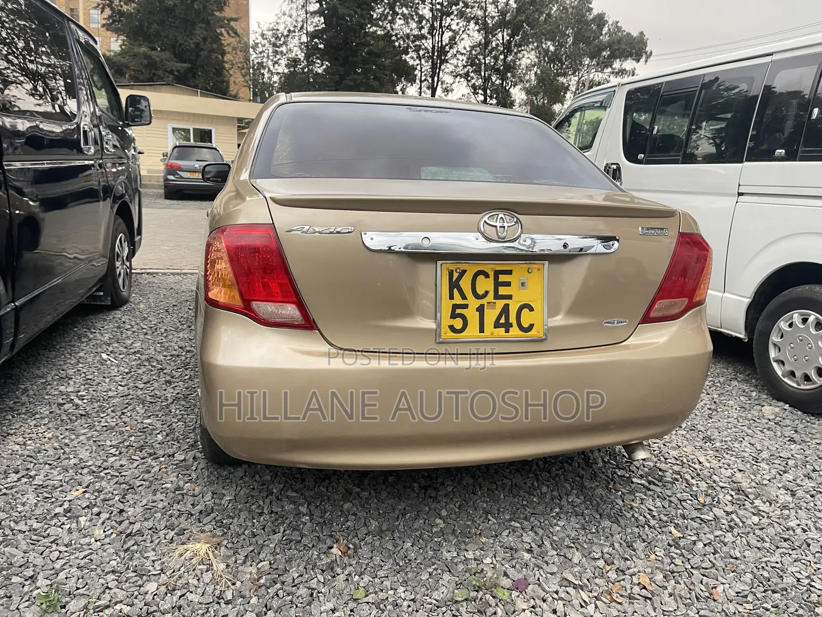 Toyota Axio 2009 Beige