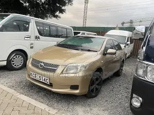 Toyota Axio 2009 Beige
