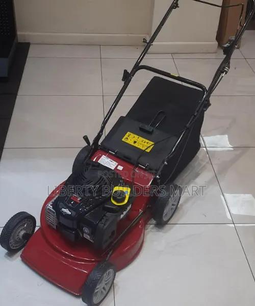 Briggs And Stratton 140cc - main view