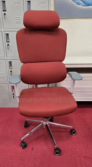 Orthopaedic Office Chair