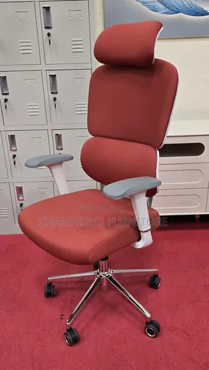 Orthopaedic Office Chair