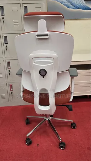 Orthopaedic Office Chair