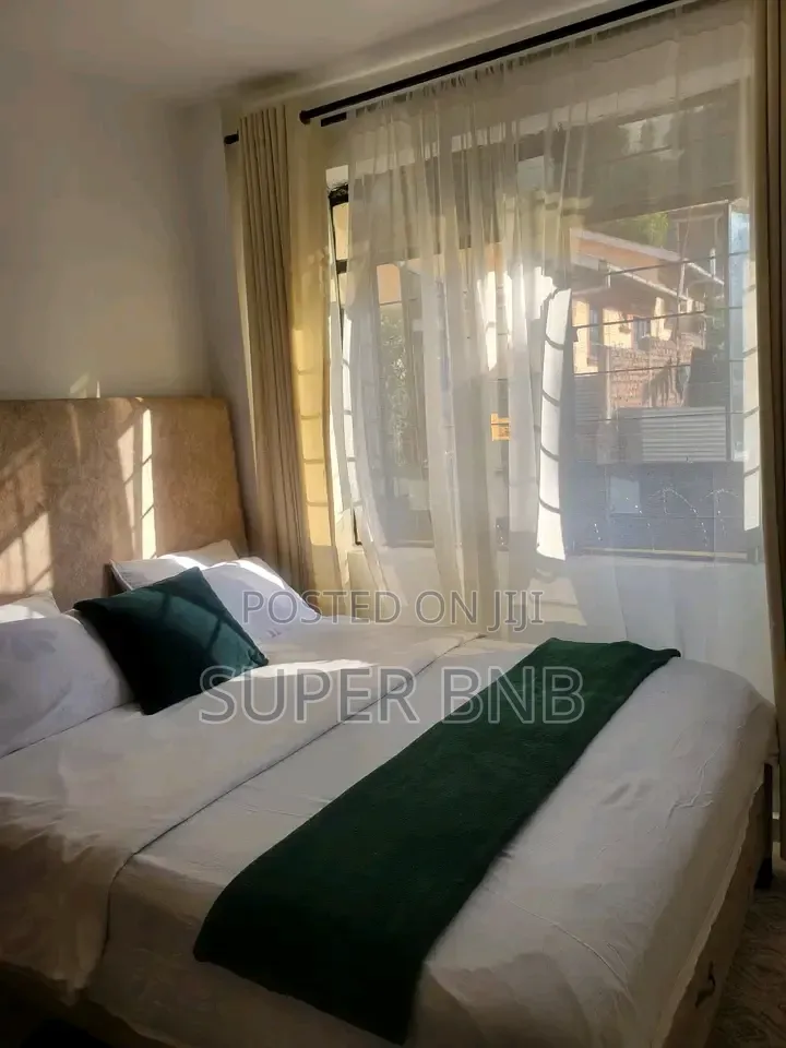 Furnished Studio, 1 2 Bedroom Airbnb Units in Homabay Town