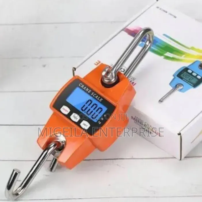 300kg Mini Crane Scale