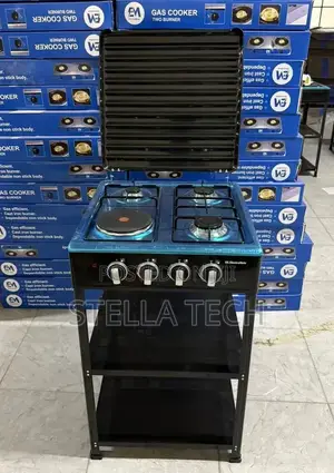 Electromate 3+1 Standing Cooker