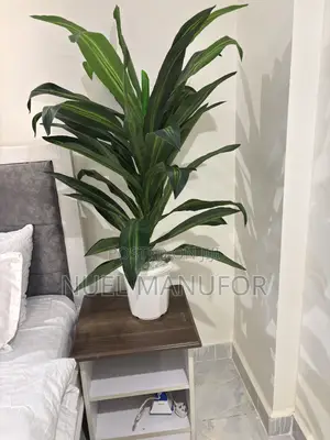Large Artificial Plants
