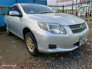 Toyota Axio 2007 Silver