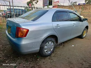 Toyota Axio 2007 Silver