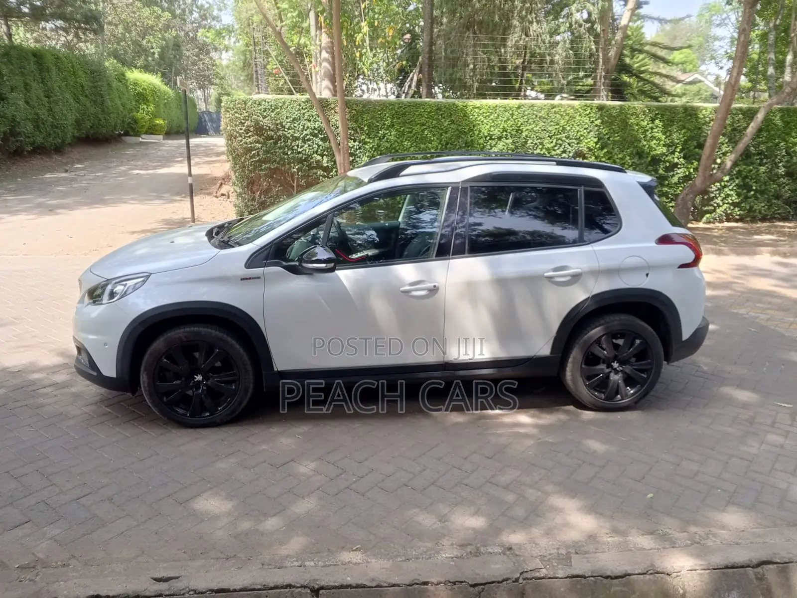 Peugeot 2008 2020 White