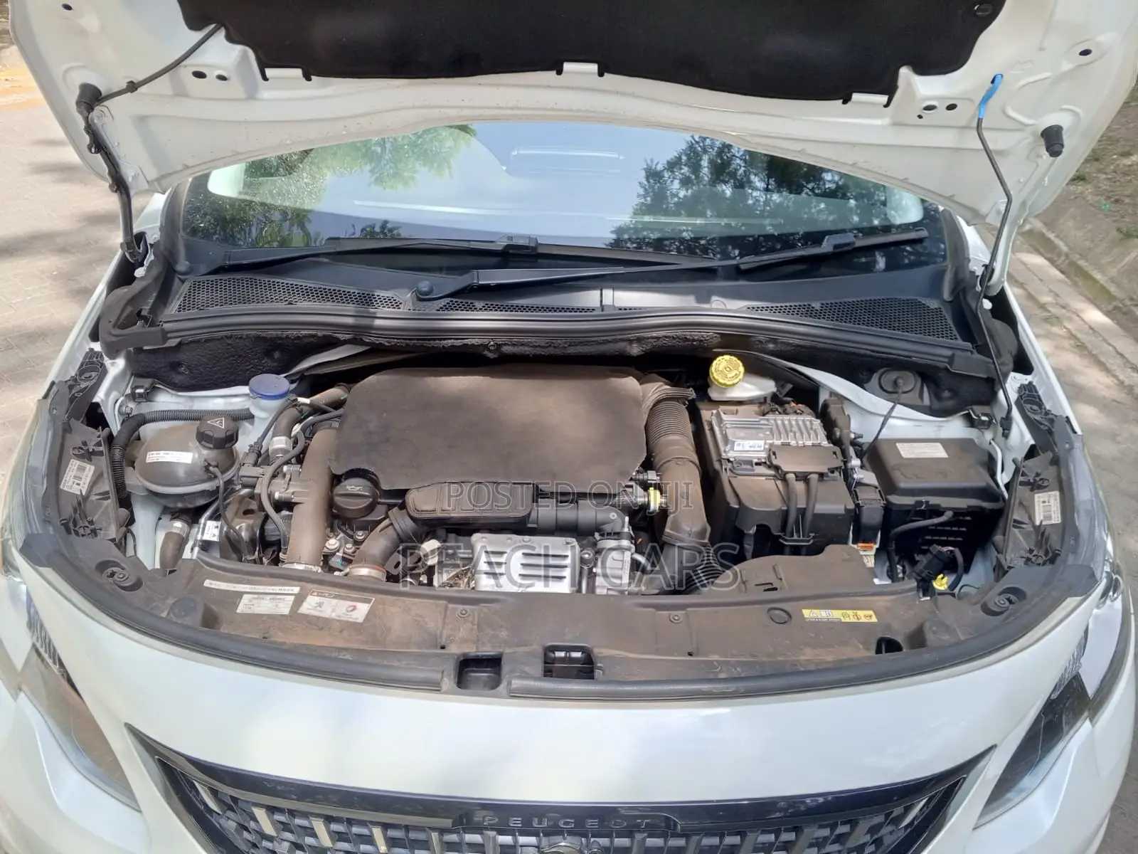 Peugeot 2008 2020 White