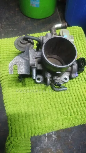 Throttle Prado
