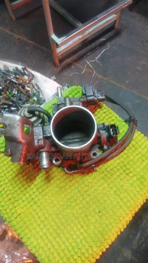 Throttle Prado
