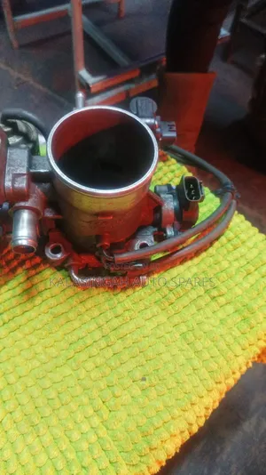 Throttle Prado
