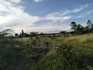 45*90 Commercial Prime Plots For Sale
