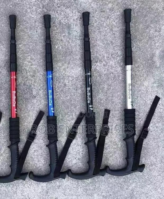 Hiking Pole