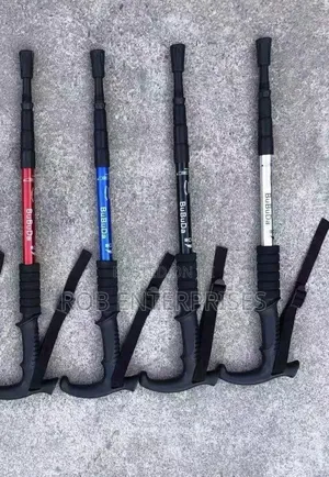 Hiking Pole