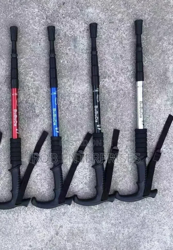 Hiking Pole