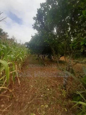 Land on Sale