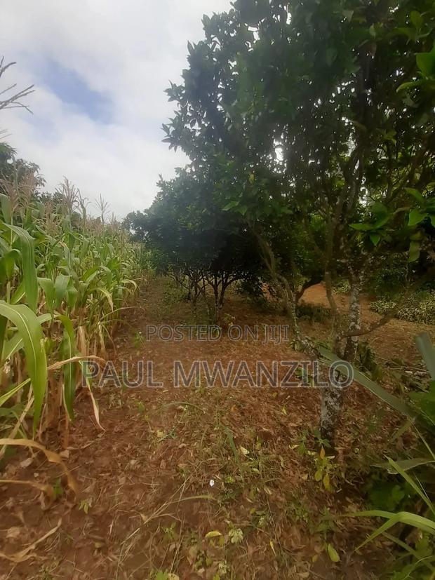 Land on Sale