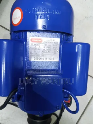 Italian Motor/ Made in Italy 2 Hp Motor