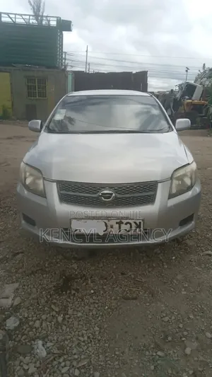 Toyota Axio 2011 Gray