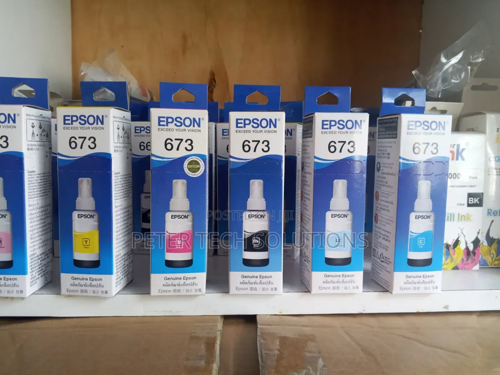Epson 673 Genuine Ink(Exceed Your Vision)