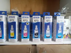 Epson 673 Genuine Ink(Exceed Your Vision)