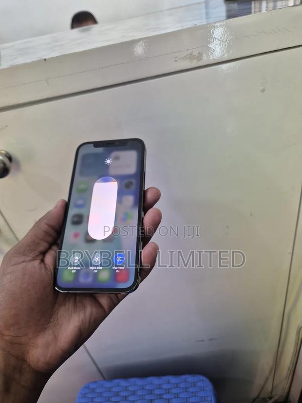 Apple iPhone 12 Pro 256 GB Gray - thumbnail 7