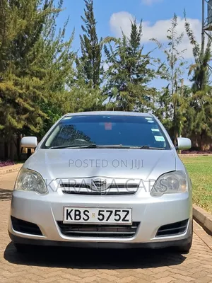 Toyota Allex 2006 Silver