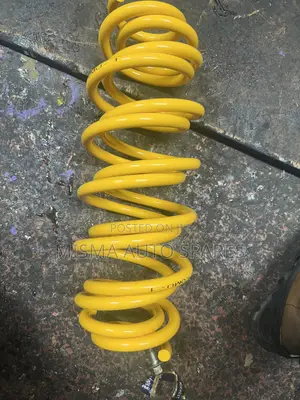 Rear Springs Toyota Ractis