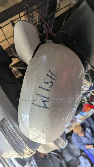 Toyota Wish 2010 Sidemirror