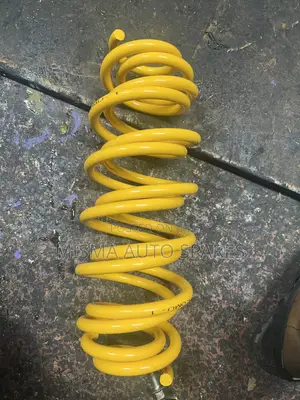 Rear Springs Toyota Ractis