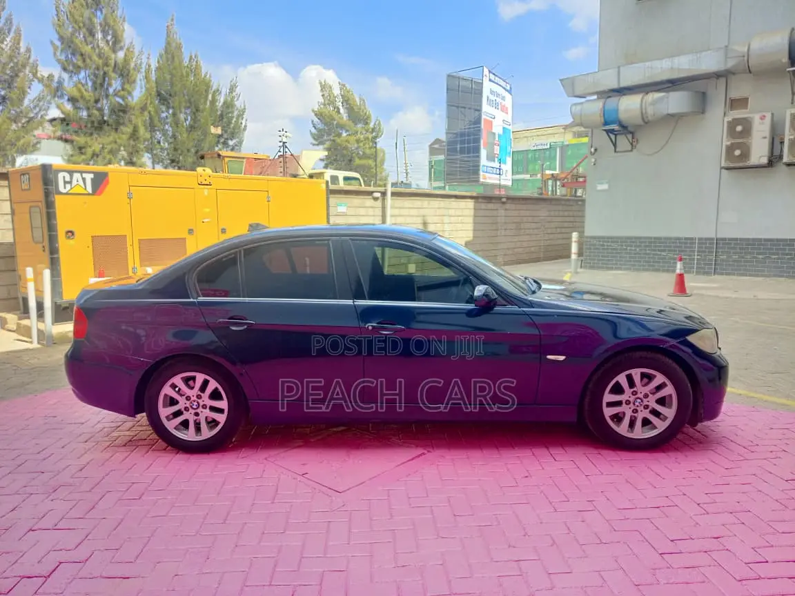 BMW 3 Series 2006 Blue