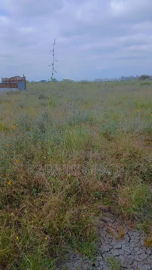 Plot for Sale in Syokimau Viraj 50 by 100