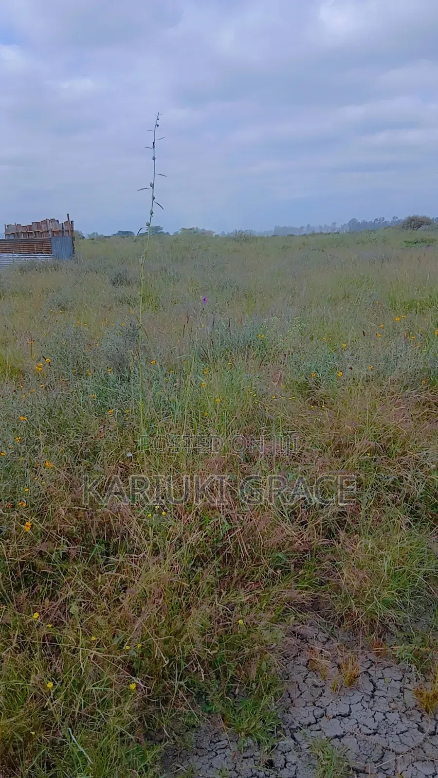 Plot for Sale in Syokimau Viraj 50 by 100