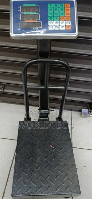 Platform Weighing Scale/300kg Platform Weighing Scale