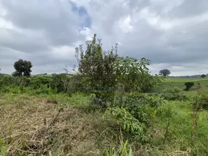 3 Acres of Land for Sale in Riara Ridge,Tigoni at KSHS